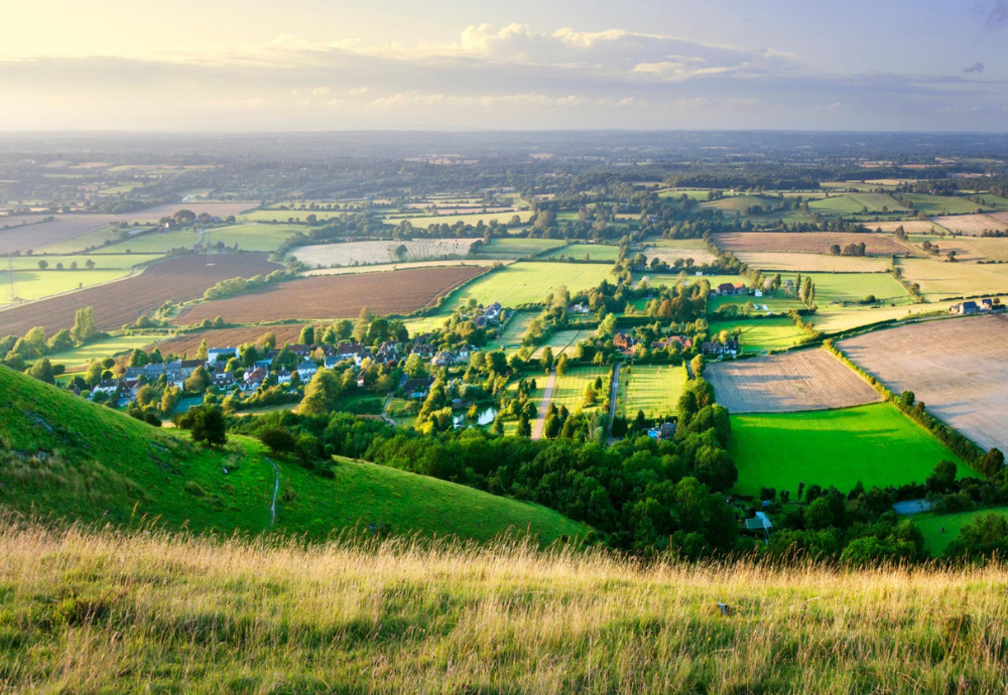 The importance of protecting green belt land Public Sector News
